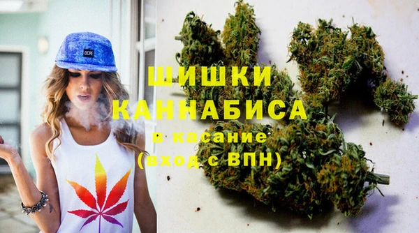 хмурый Аркадак