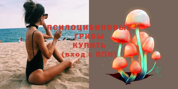 ГАЛЛЮЦИНОГЕННЫЕ ГРИБЫ Балахна