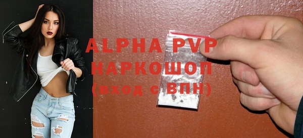 хмурый Аркадак